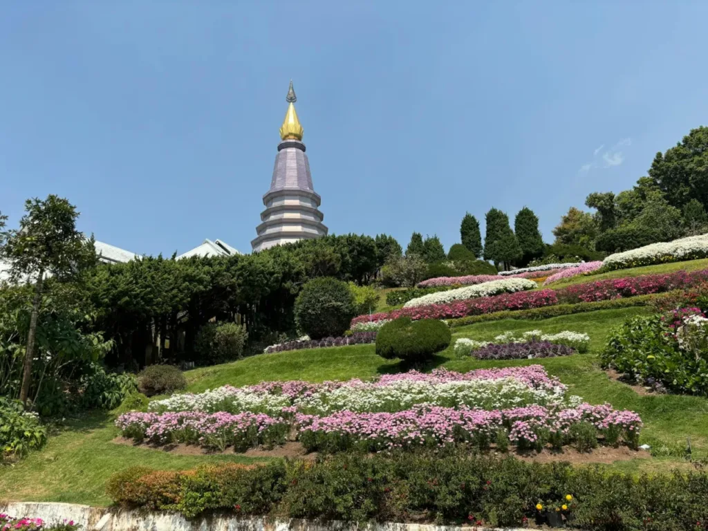 Estimate your mesothelioma claim value: Average payouts How much is a mesothelioma lawsuit worth?